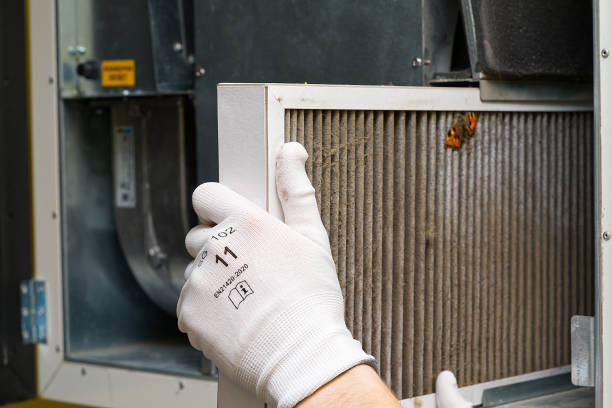 Best Affordable Duct Cleaning Services  in Laurel Hill, VA